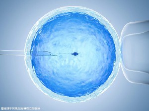 42岁成功案例