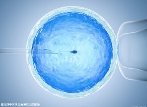 王晨光主任