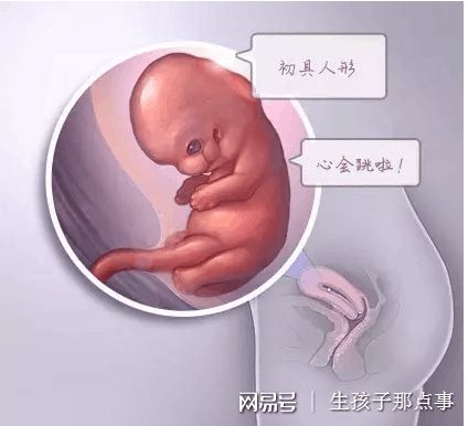 暖阳生殖医学中心